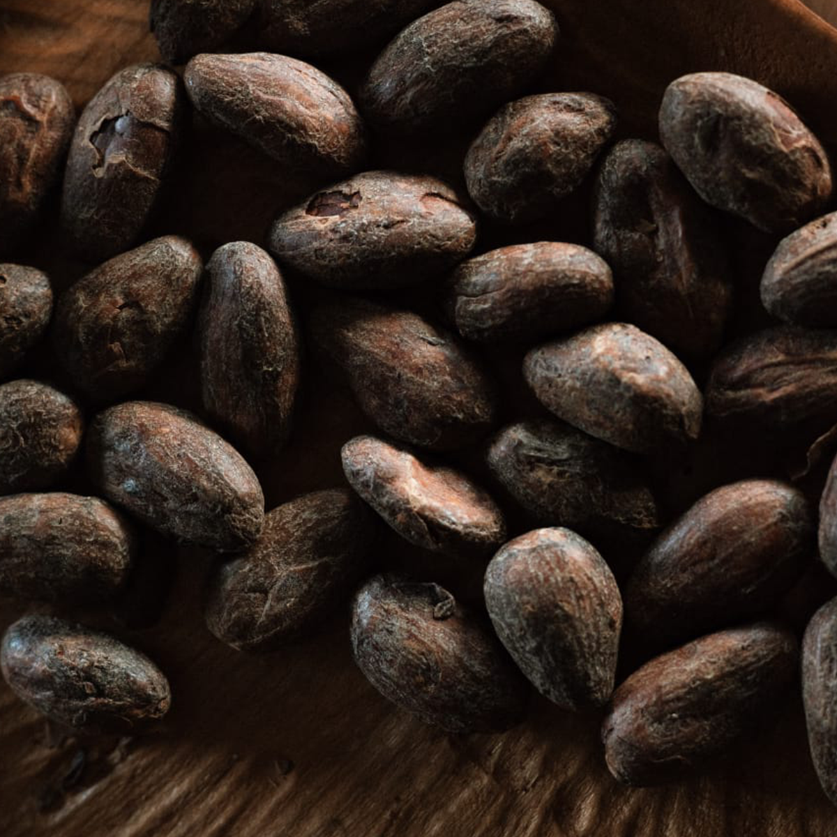 Cacao vibratoire  & cercle de pardon